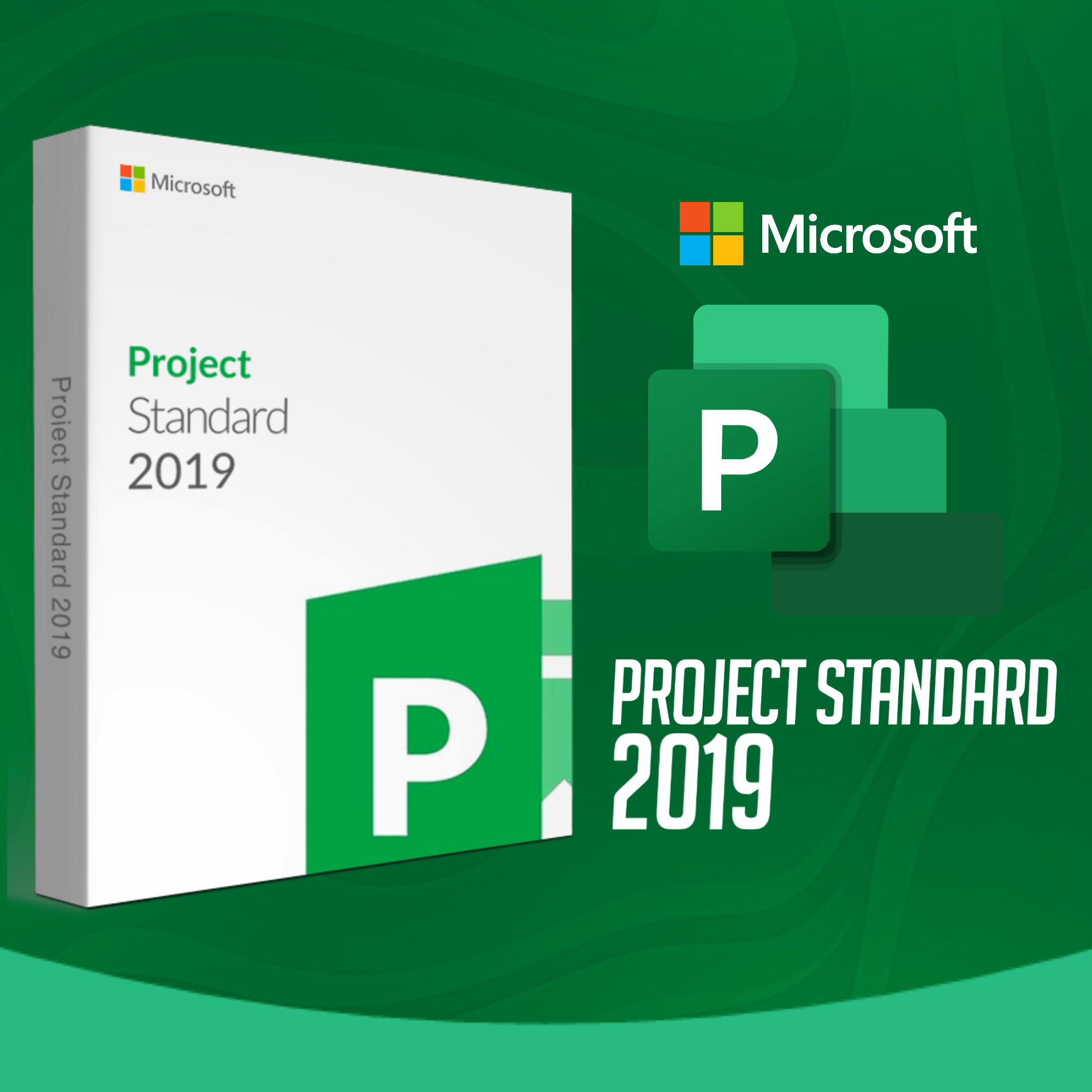 Project 2019 Standard - 32/64 BITS - Licença Vitalícia + Nota Fiscal e Garantia - Imagem 2